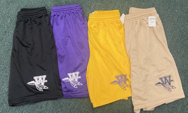 Warchiefs Mesh Shorts