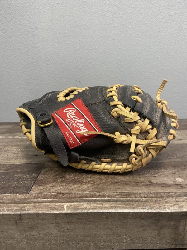 Rawlings Highlight Series 31 1/2 in